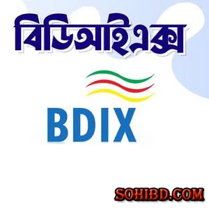 আসুন বিডিআইএক্স  কানেক্টিভিটি হোস্টিং সার্ভিস  সম্পর্কে জেনে নিই