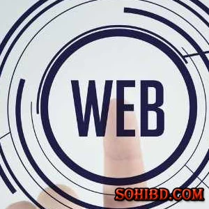 বাংলাদেশের যে ধরণের ওয়েব সাইট  কাজ বেশি পাওয়া যায়