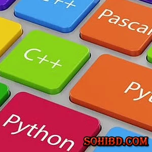 জেনে নিন কোন প্রোগামিং ভাষা কোন কাজে লাগে