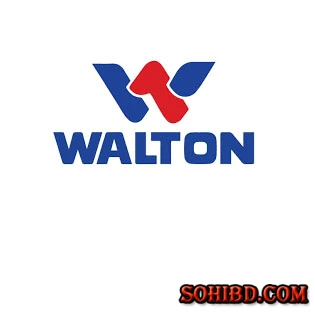 ওয়ালটন হাইটেক  পার্ক এবং  ওয়ালটন বিষয়ে কিছু তথ্য