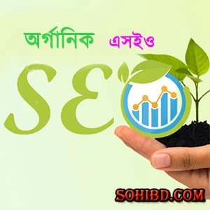 অর্গানিক ট্রাফিক বাড়ানোর  এসইও কৌশল