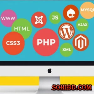 ওয়েব ডেভেলপমেন্ট শিখার শর্টকাট রোড ম্যাপ